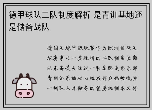 德甲球队二队制度解析 是青训基地还是储备战队